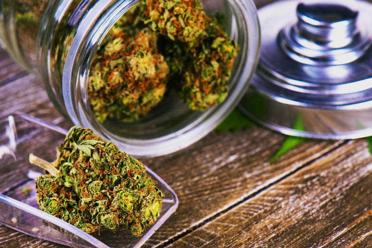 stocks pot canada legalizes cannabis