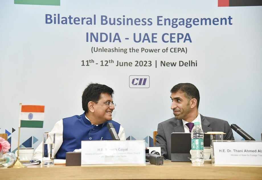 uae,india,bilateral,impact,trade