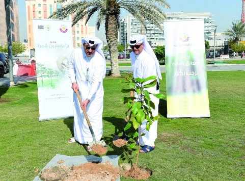 tree, doha, planting, initiative, bank, 