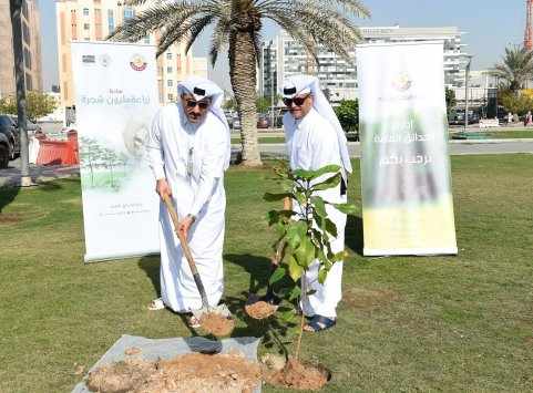 tree, doha, planting, initiative, qatar, 