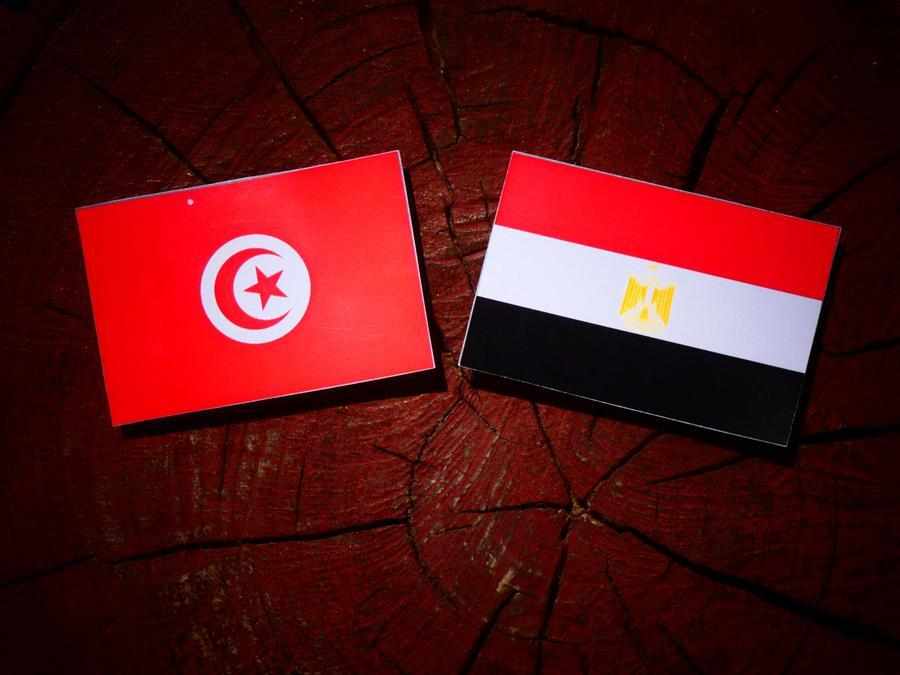 egypt,health,cooperation,sector,tunisia
