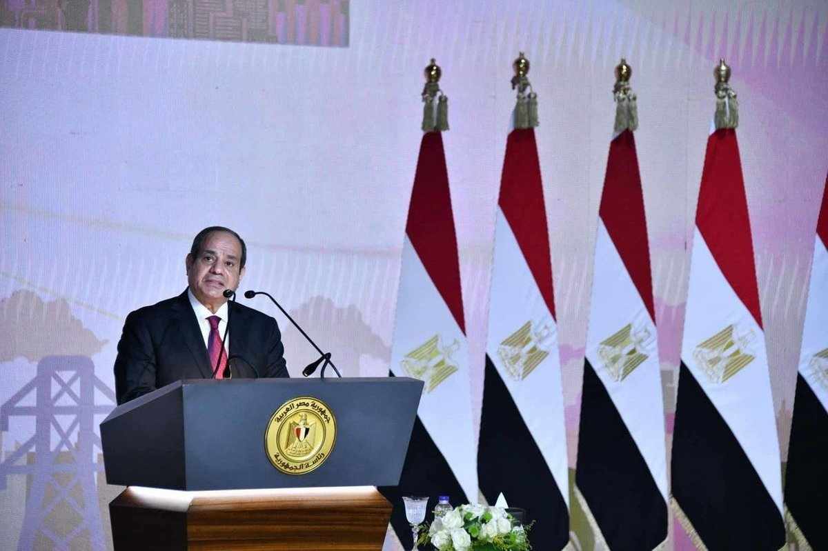 egypt,sisi,drone,respect,sovereignty