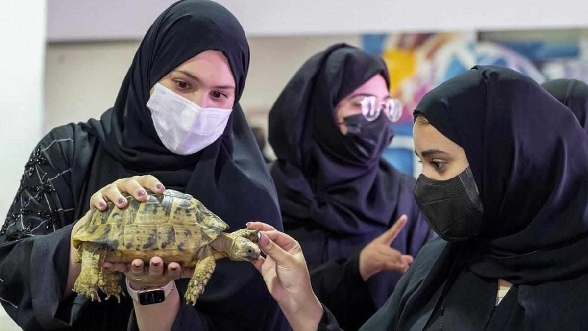 uae,programme,patients,assisted,animal
