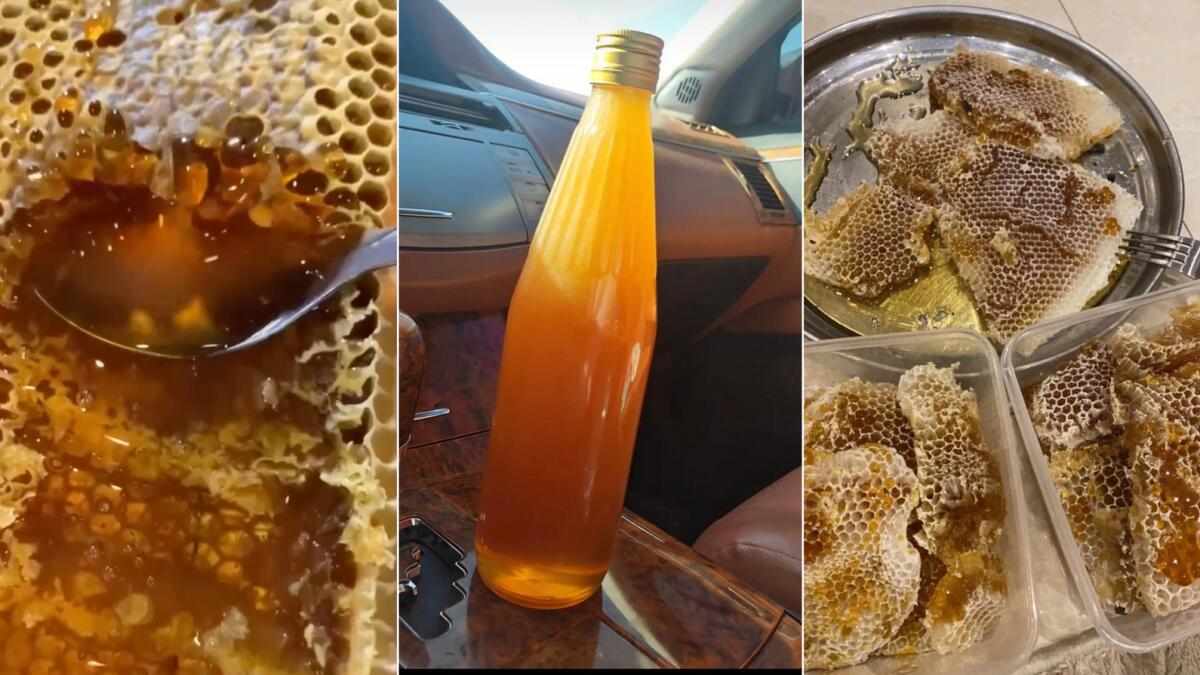 uae,farm,honey,beekeeping,community