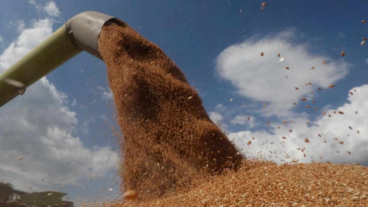 uae,prices,impact,wheat,flour