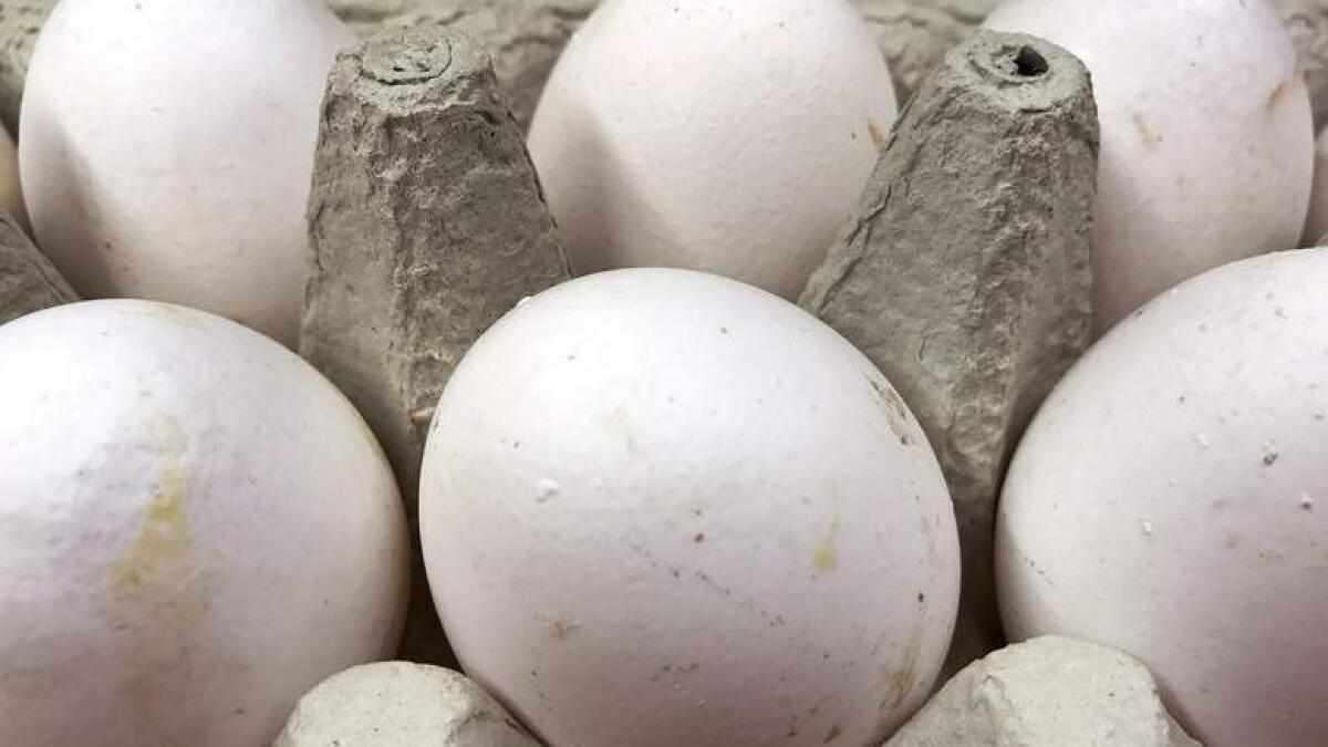 uae,prices,eggs,retailers,poultry