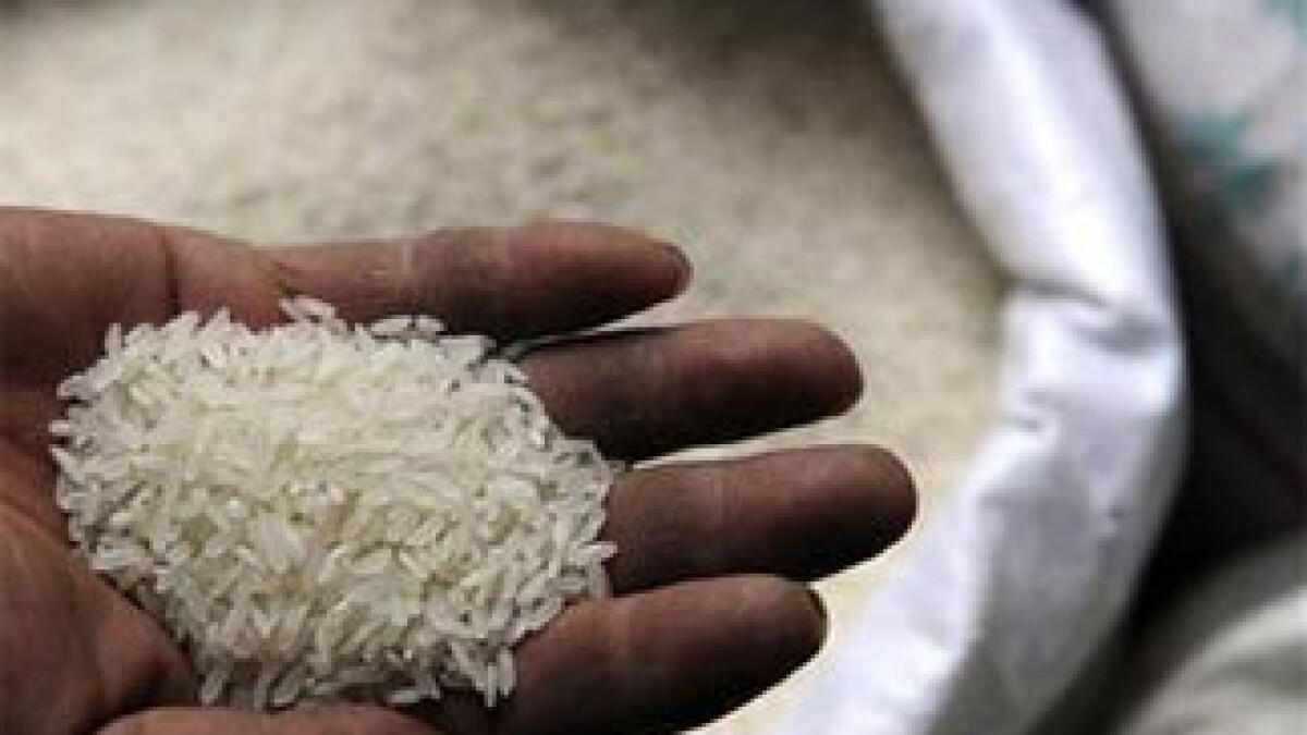 uae,prices,india,export,rice