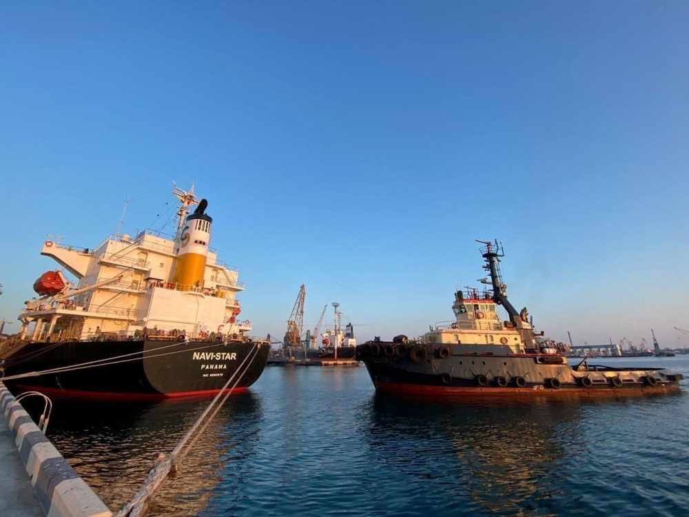 ukraine,ships,grain,ports