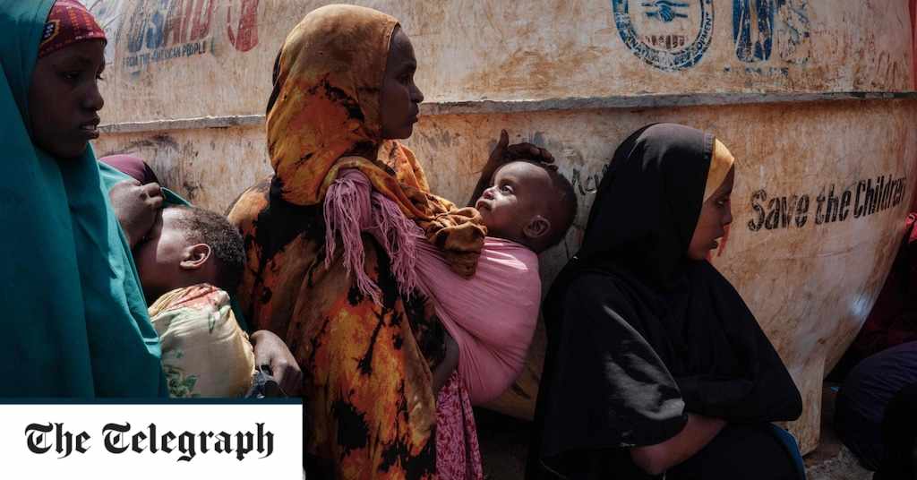 situation,face,deteriorating,rapidly,somalia