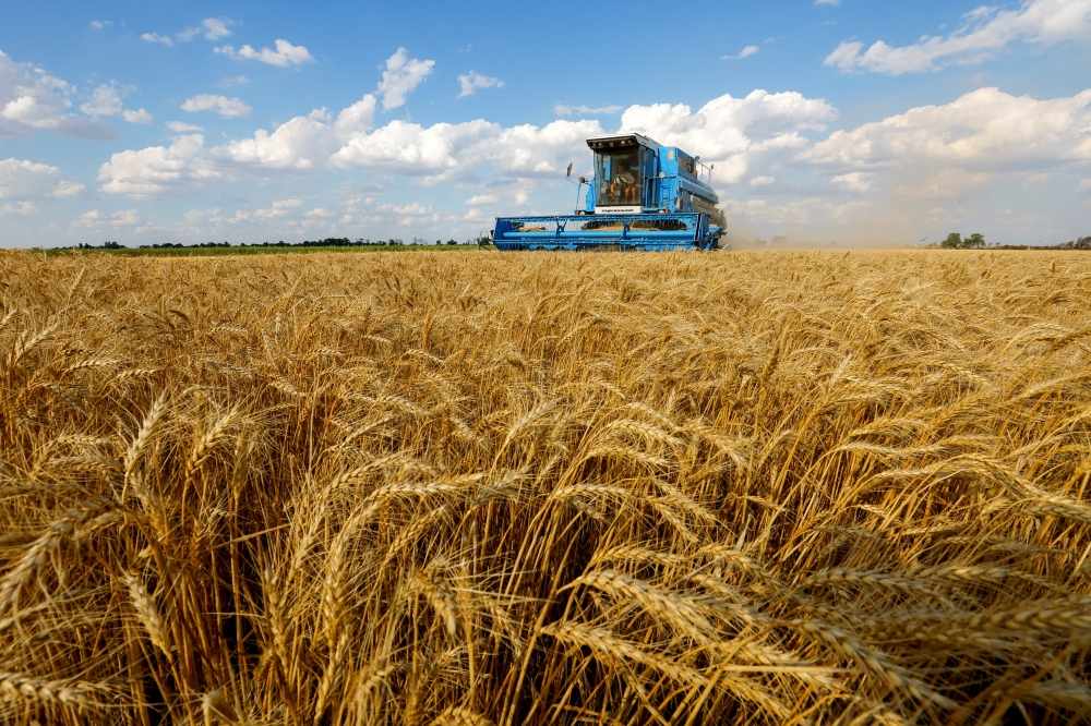 egypt,contracts,wheat,tonnes,ukrainian