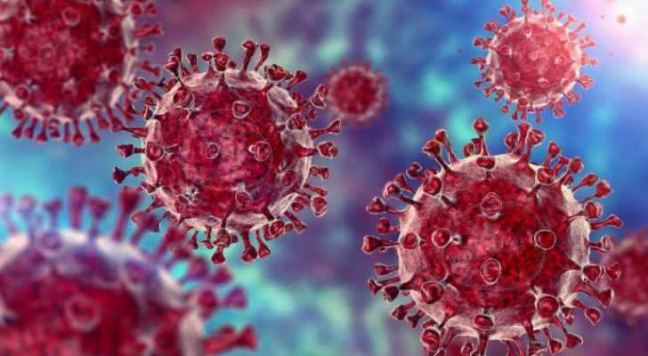vaccine hayajneh coronavirus evidence importance
