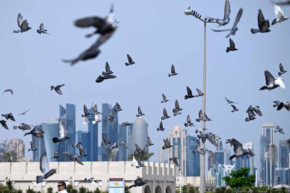 qatar,arrivals,visitor,percent,visitors