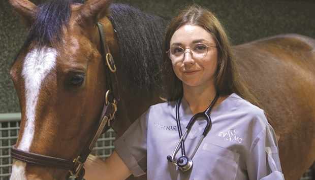 qatar,student,learn,horses,medicine