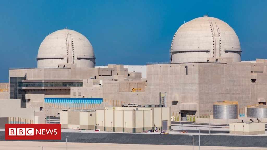 uae plant nuclear world arab