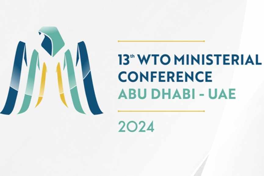 uae,conference,website,dedicated,ministerial