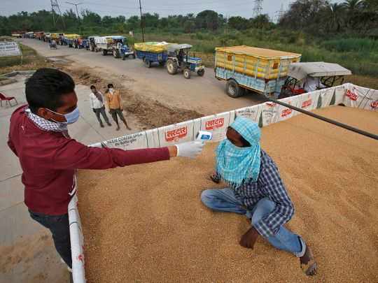 india,hit,wheat,exports,heatwave