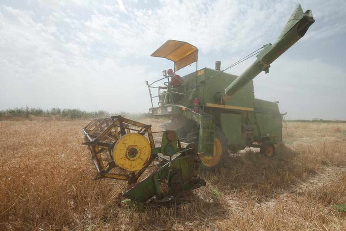 iraq,wheat,tonnes,iraq,produce