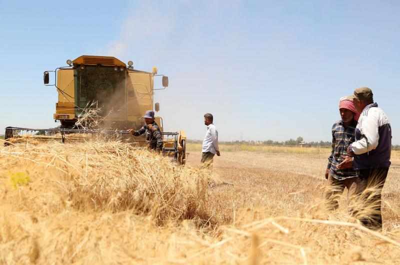 syria,good,wheat,imports,harvest