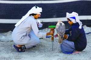 gulf,times,activities,young,falconer