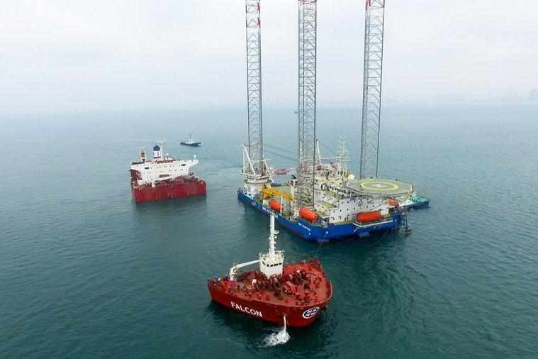 sector,services,marine,offshore,leading